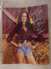 Catherine bach daisy d'occasion  Expédié en Belgium