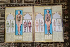 Antique BODY SCOPE Medical Anatomy Book Doctor Teacher Illustrated 20.5x16" comprar usado  Enviando para Brazil