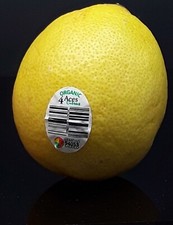 Aces lemon seeds for sale  Worcester