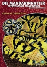 Mandarinnatter euprepiophis ma gebraucht kaufen  Berlin