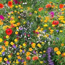 Wild flower seeds for sale  UK