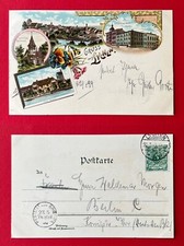 Litho lychen 1903 gebraucht kaufen  Dresden