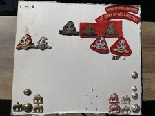 Collection military badges for sale  NEWTOWNARDS