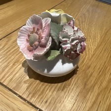 Radnor porcelain flowers for sale  NORTHWICH