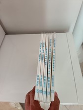 Piccolo ranger ristampa usato  Genova