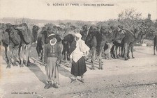 Scène type caravane d'occasion  Vasles