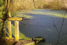 Foto 6x4 teich gebraucht kaufen  Versand nach Germany