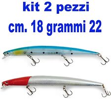Kit minnow esche usato  Terni
