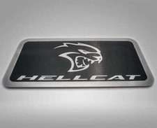 Carbon fiber car for sale  Hudson