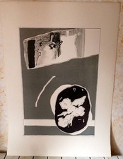 Mario surbone litografia usato  Cirie