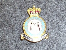 Badge. squadron raf for sale  SLEAFORD