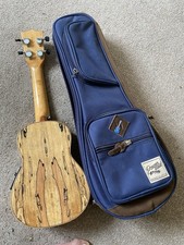 Kala sported maple for sale  SHEERNESS