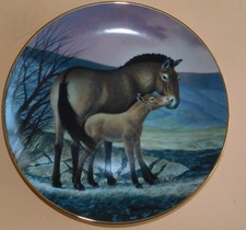 Zierteller przeuwalski horse19 gebraucht kaufen  Iserlohn
