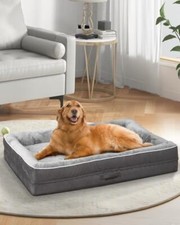 Large orthopedic dog for sale  Miami