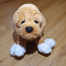 Suki puggle pug for sale  HORSHAM