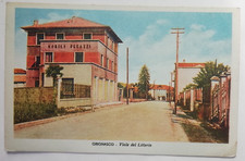 Grignasco viale del usato  Torino