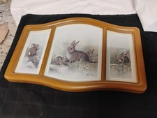 Framed rabbit artwork for sale  Columbus