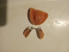 False teeth dentures for sale  Buffalo