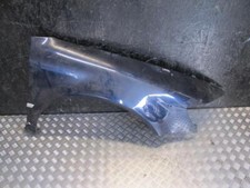 Kotflügel volkswagen phaeton gebraucht kaufen  Ronnenberg