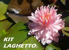 Kit laghetto piante usato  Villasalto