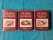 Wayside woodland birds for sale  STROUD