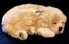 Perfect petzzz golden for sale  Orangevale