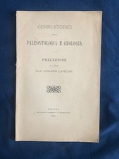Capellini cenni storici usato  Firenze