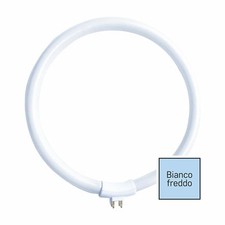 Lampadina circolina fluorescen usato  Albano Laziale
