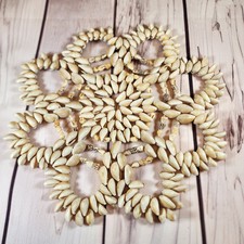 Hawaiian cowrie shell for sale  San Antonio