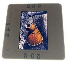 1980s slide 35mm for sale  Waipahu