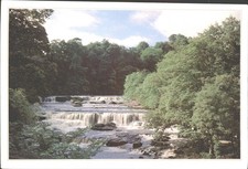 Aysgarth fall yorkshire usato  Spedire a Italy