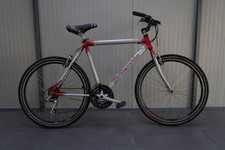 Mountain bike bottecchia usato  Due Carrare