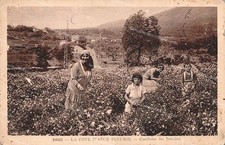 Dg628 cartolina cpa usato Dg628 cartolina cpa usato  Tramonti