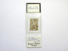 scientific microscope for sale scientific microscope for sale  LEDBURY