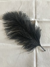 Single plume 35cm for sale  TAUNTON