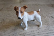 Small jack russel for sale  WIGAN