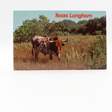 Texas long horn for sale  Owatonna
