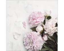 Glasbild frühlingsblumen 20x2 gebraucht kaufen  Deutschland