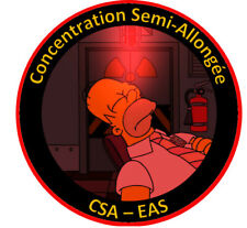 Patch eas 18.004 d'occasion  Expédié en Belgium