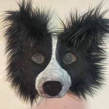 border collie d'occasion border collie d'occasion Expédié en Belgium