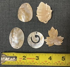 Set abalone shell for sale  Denver