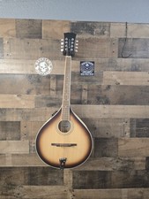 Mcneela electromandolin clean for sale  Spring Hill