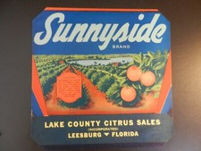 Vintage sunnyside citrus for sale  Orlando