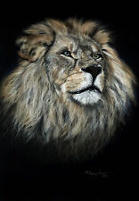 Lion original large for sale  LONDON