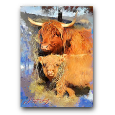 highland cows for sale highland cows for sale Pasco