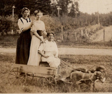 Pretty lady ladies for sale  Valley Mills