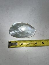 Polished mother pearl for sale  Punta Gorda