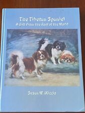 Rare tibetan spaniel for sale  WARRINGTON