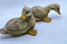 Mallard baby ducklings for sale  Ottumwa