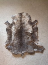 Reindeer hide rug for sale  SETTLE